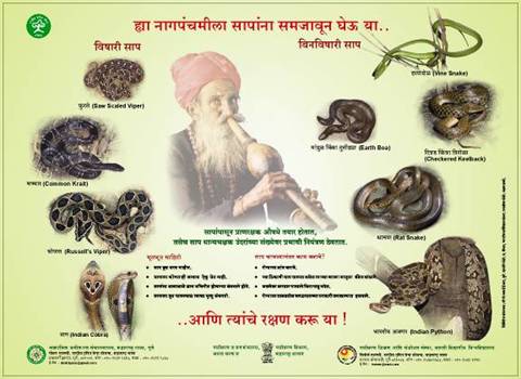 National Green Corps poster,BVIIER, Pune, India